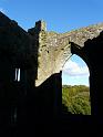 Tintern Abbey - 020